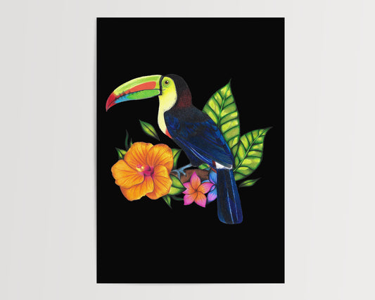 Toucan Print